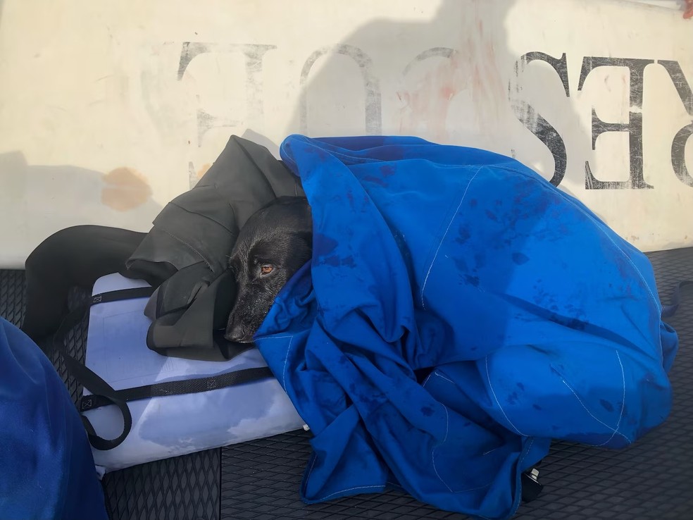  Reprodução/ABC News