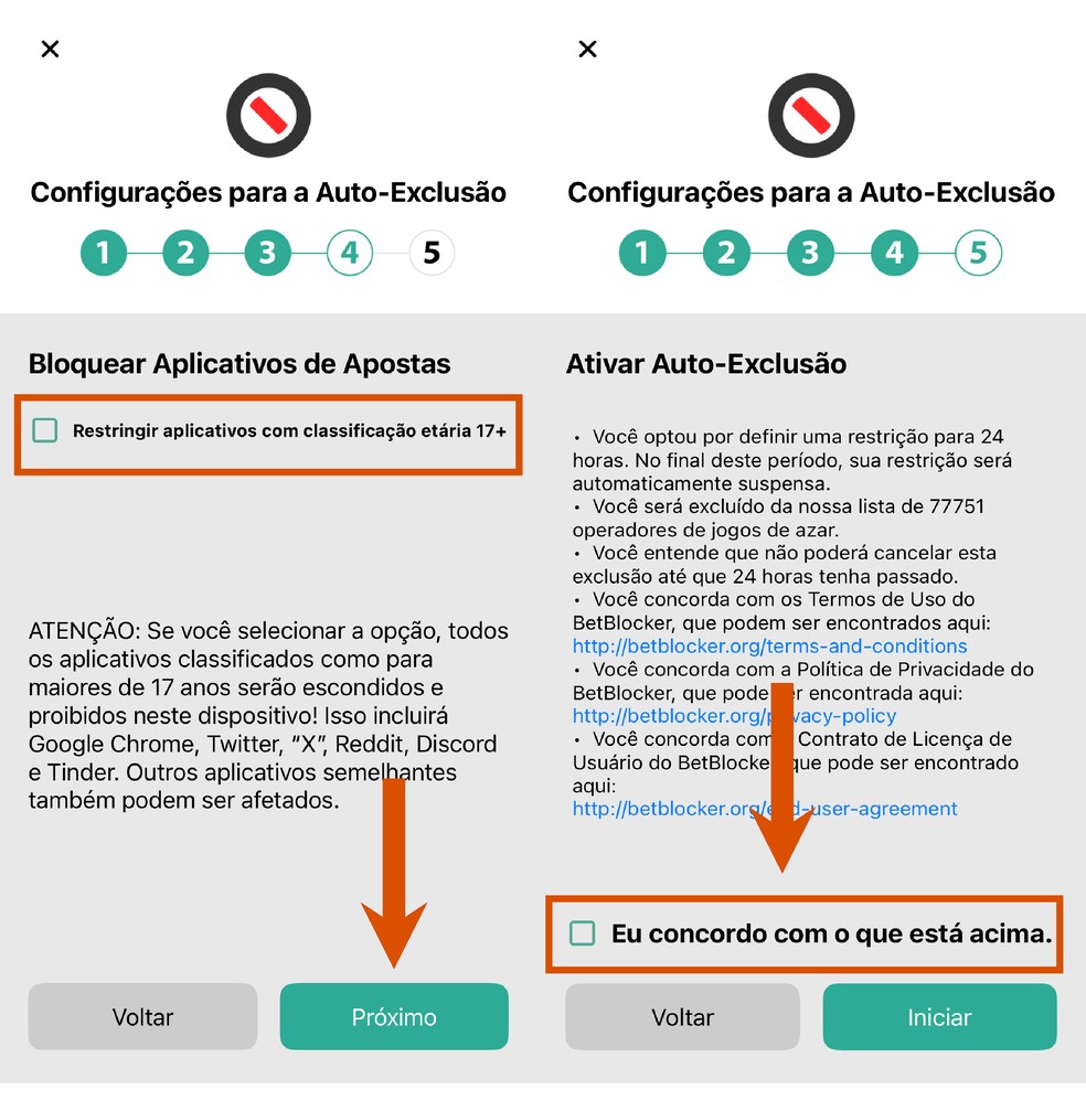  Reprodução/Paola Mansur