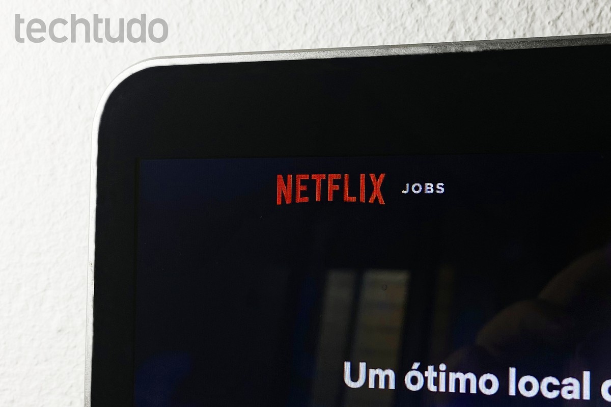 Netflix - 123 Empregos