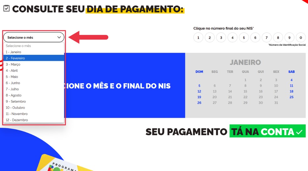  Reprodução/Júlia Silveira