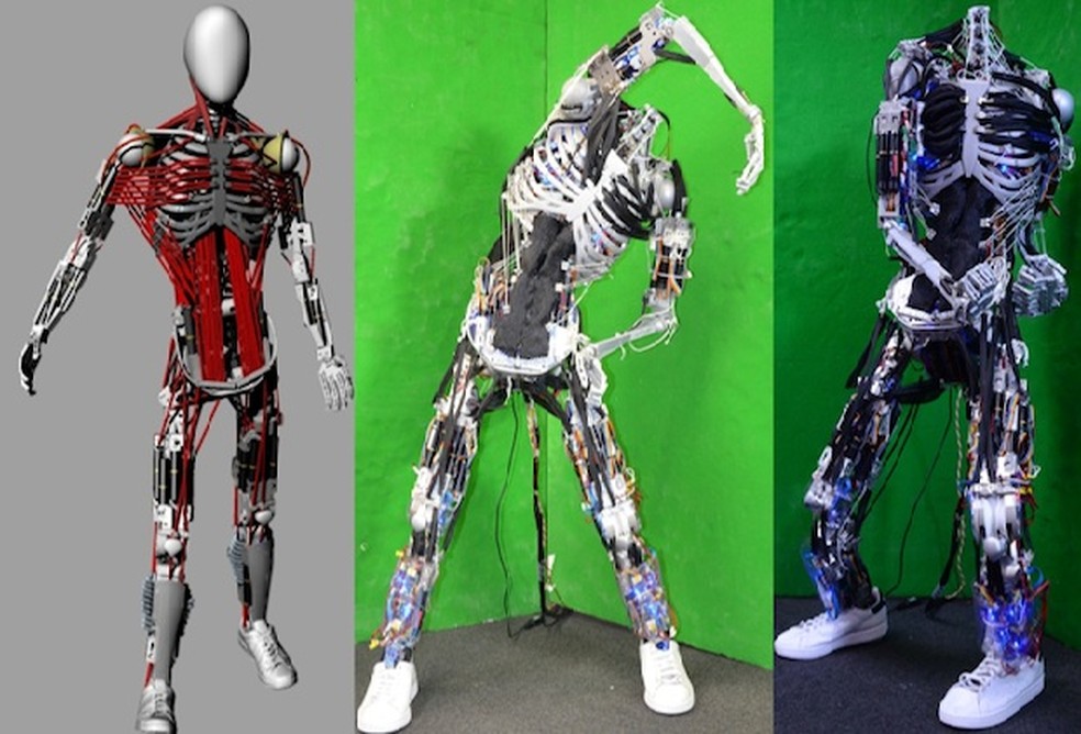 Kenshiro é o robô mais próximo de um ser humano atualmente (Foto: Reprodução/IEEE Spectrum) — Foto: TechTudo