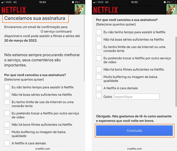 Netflix irá cancelar assinaturas antigas que estiverem sem uso