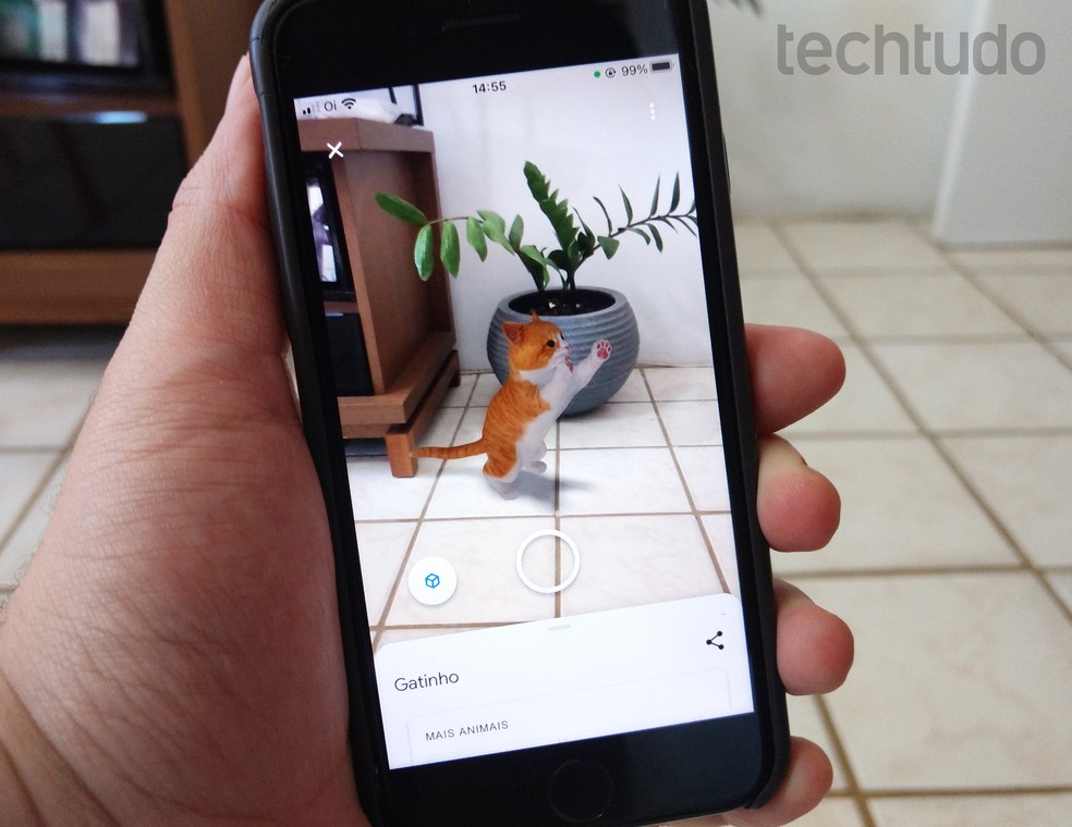 Busca do Google tem novos animais em 3D realidade aumentada