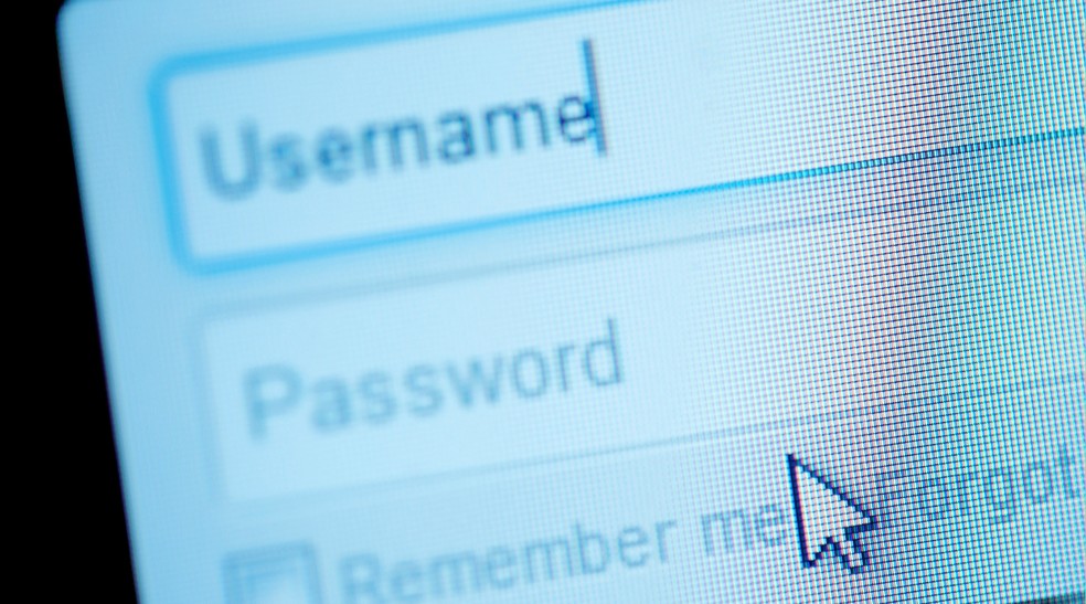  Reprodução/Júlia Silveira