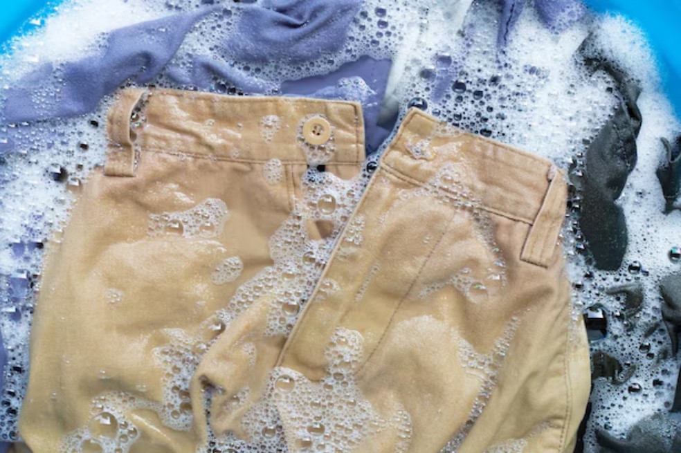  Reprodução/Freepik