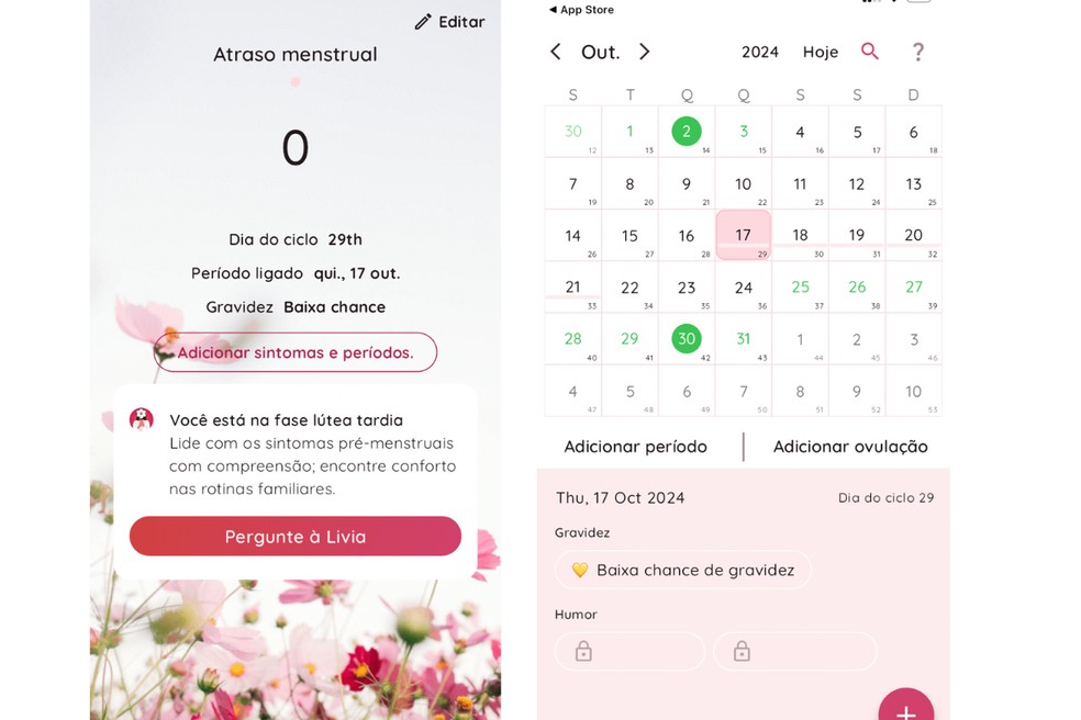 App Life conta com uma IA chamada Lívia, para auxiliar na retirada de dúvidas dos usuários