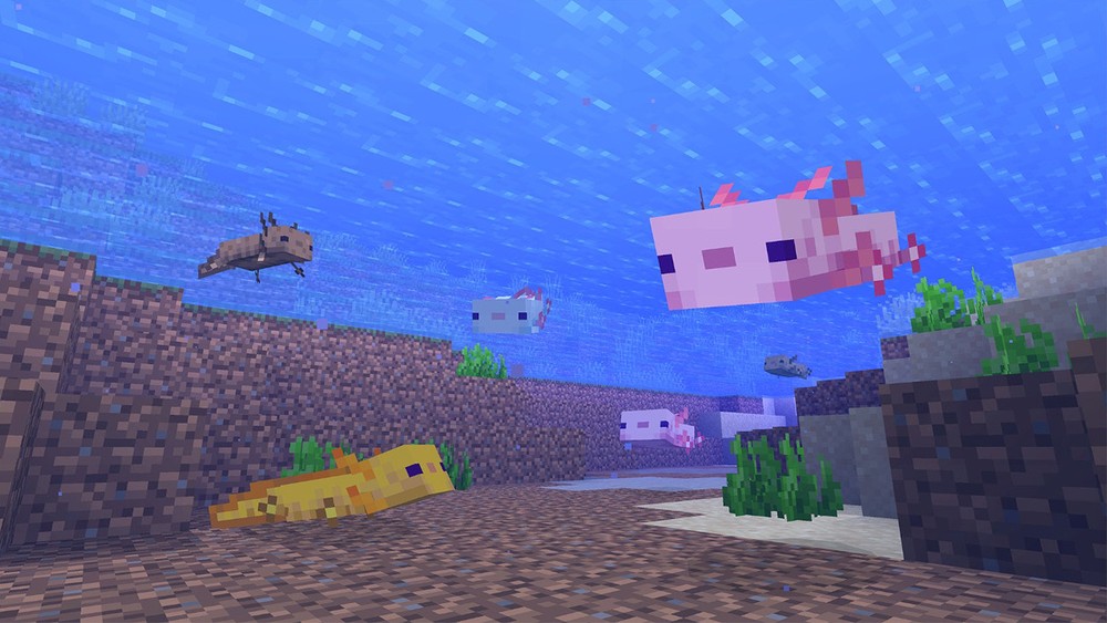 Axolote no Minecraft: veja como encontrar, domar e reproduzir