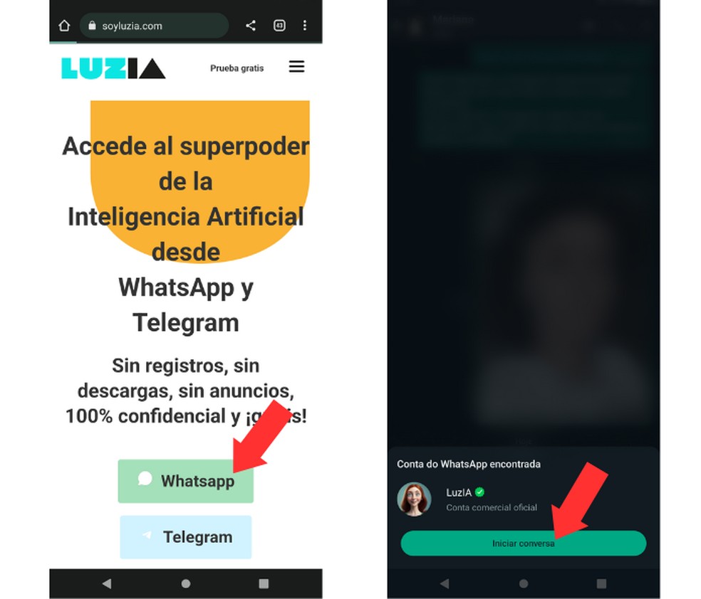 Veja como acessar LuzIA pelo link da página oficial — Foto: Reprodução/Mariana Tralback