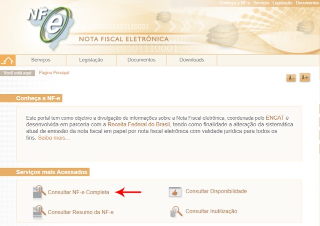 DANFE Online: o que é e como consultar a versão da nota fiscal eletrônica