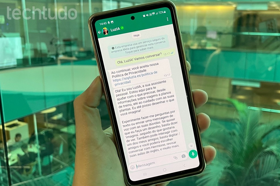 LuzIA é um serviço de inteligência artificial que funciona no WhatsApp e Telegram — Foto: Luiza M. Martins/TechTudo