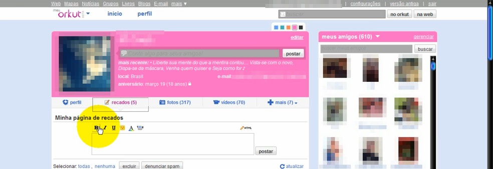 Orkut permitia mudar a cor e o tema do perfil — Foto: Reprodução/YouTube (Carla Félix)