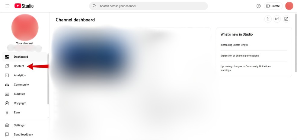  Reprodução/Gisele Souza